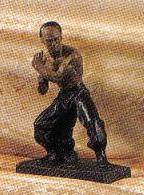 Kung Fu Fighter-E