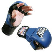 MMA / Muay Thai Gear-Gloves-Shins-Heads
