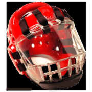 Clear Face Shield-Adult