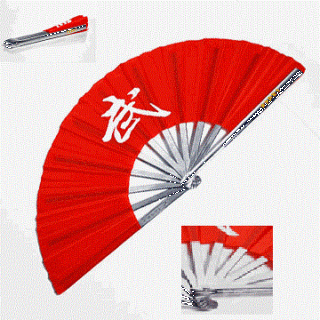 Wushu Iron Fighting Fan