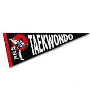 Taekwondo with Kicker