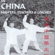 Tai Chi Training in China