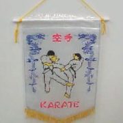 Karate Pennent