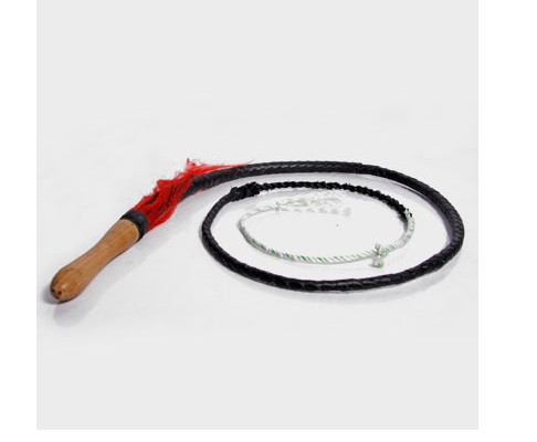 Martial arts stainless steel whip Kungfu Qilin whip Kung Fu whip whiplash 